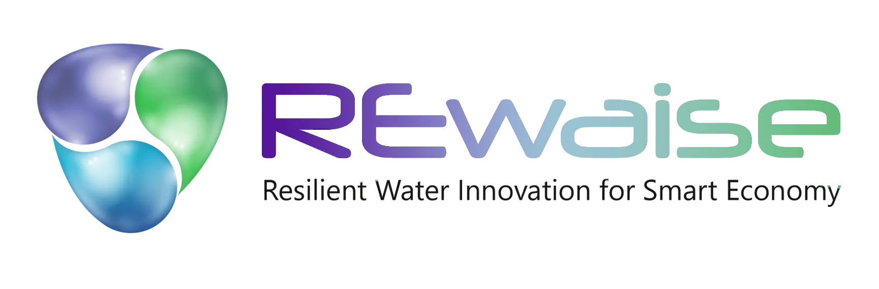 Rewaise logo