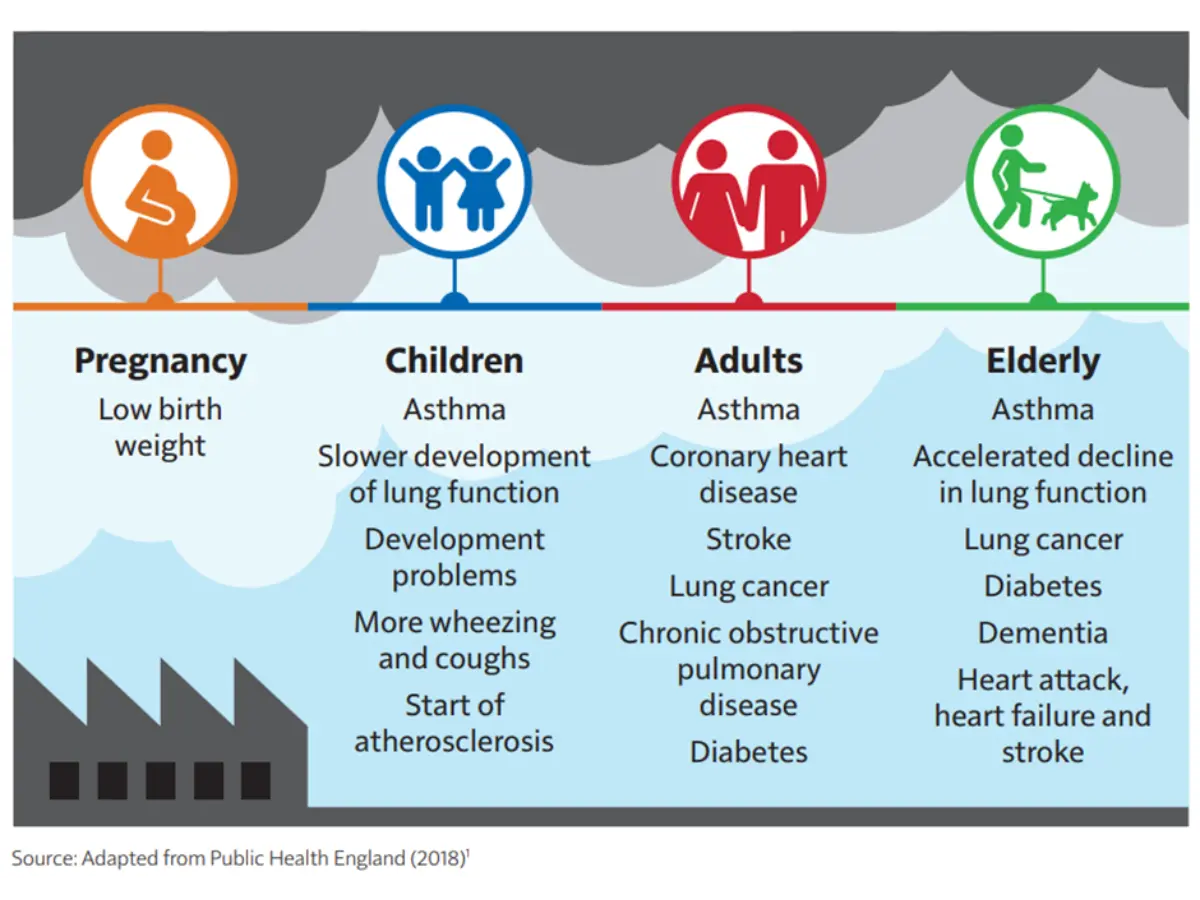 Health effects of air pollution