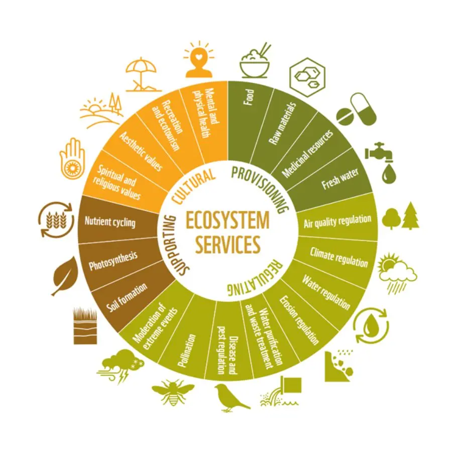 Ecosystem services