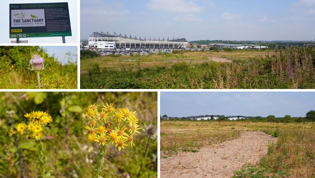 Derby site